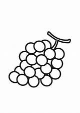 Druiventros Kleurplaat Kinderwoorddienst Bijvoorbeeld Vruchten Goede Vullen Ziet Met sketch template