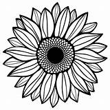 Sunflower Decal sketch template