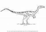 Coelophysis Draw Drawing Step Dinosaurs Tutorials sketch template