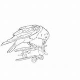 Coloring Bird Pages Jon Snow Crow Plane sketch template