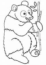 Bamboo Coloring Pages sketch template