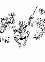 Vs Spider Man Coloring Pages Carnage Venom Trending Days Last sketch template