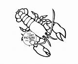Lobster Cartoon Drawing Sponge Sea Getdrawings Paintingvalley sketch template