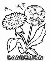 Dandelion Coloring Pages Flower Printable Month Child Military Kids Flowers Print Worksheet Sheets Colouring Topcoloringpages Campaign April sketch template