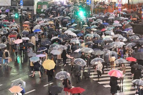 we ve got it covered umbrella culture in japan insidejapan blog