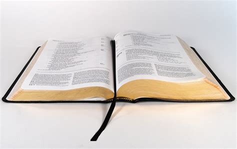 haelfte der deutschen hat eine bibel nur wenige lesen darin jesusde