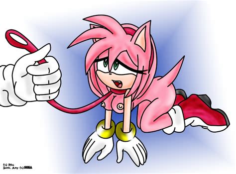 rule 34 all fours amy rose anthro ass bdsm bitch taken