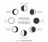 Moon Phases Diagram Illustrated Drawing Vexels Simple Names Quizlet Cycles Ai Grade Magic Info Illustration February Schermerhorn Choose Board Brainpop sketch template