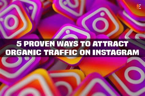 Attracting Organic Traffic On Instagram 5 Proven Methods To Try The