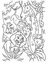 Jungle Coloring Pages Animals Kids Animal Lion King Safari Printable Laughing Book Sheets Books Choose Board Bestcoloringpagesforkids sketch template