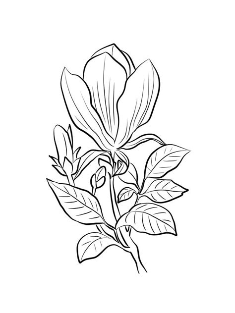 printable coloring pages leaf tattoos maple leaf tattoo magnolia