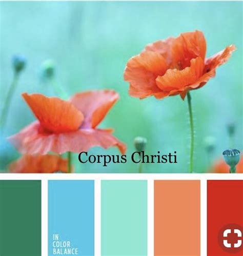 color scheme  corpus christi color balance corpus christi feast watercolor art color
