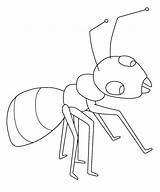 Ants Ant Marching Coloringsky Colouring sketch template