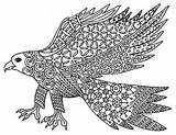 Coloring Hawk Falcon Zentangle Bird Detailed Preview sketch template