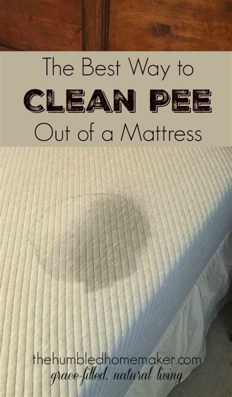 clean pee    mattress cleaning painted walls