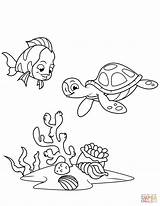Coloring Coral Reef Turtle Fish Sea Pages Dot Printable Drawing sketch template