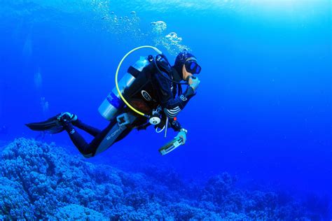 scuba diving wallpaper  images