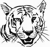 Tigre Tete Tigres Head Harimau Mewarnai Colorier Marimewarnai sketch template
