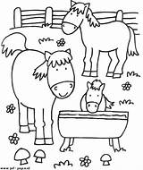 Juf Joyce Boerderij Bauernhof Boerderijdieren Kleurplaten Paarden Dieren Ausmalen Peuters Cavalo Pferd Afkomstig Ausmalbild Crianças Infantis Pferde Credu Olifant Patronen sketch template