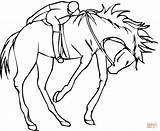 Cavallo Cavalli Disegni Fantino Ostacoli Salto Jockey Saltano Kleurplaat Paard Tinker Ruiter Selvaggio sketch template
