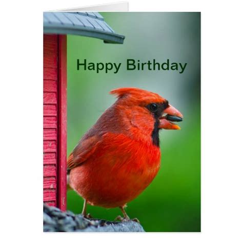 happy birthday male cardinal greeting card zazzle