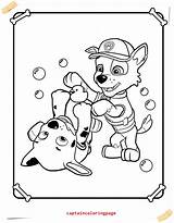 Patrol Paw Characters Coloring Nick Toy sketch template