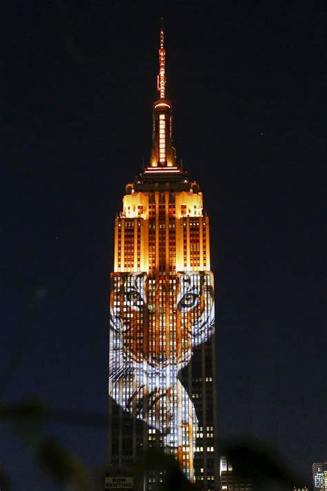 cecil  lion joins endangered species  empire state building show time