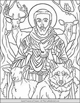 Assisi Catholic Saints Thecatholickid Clare Patron Carlo Acutis sketch template