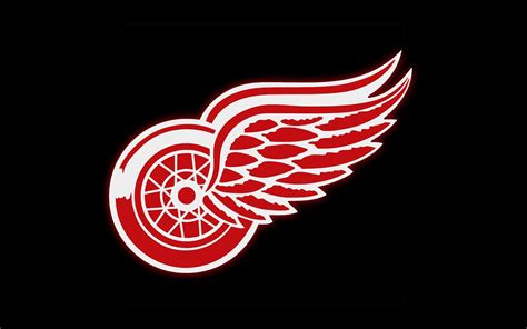 cool detroit red wings