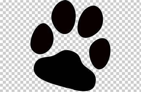 paw clipart high resolution paw high resolution transparent