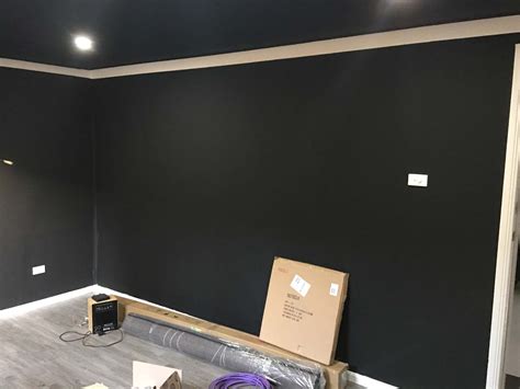 paint type colour   home theatre room room