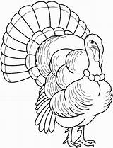 Turkey Drawing Outline Coloring Feathers Wild Hand Pages Template Drawings Color Printable Paintingvalley Info Colouring Kids Getdrawings Christmas Thanksgiving Explore sketch template