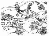 Reef Coral Coloring Pages Ecosystem Fish Ocean Barrier Great Drawing Clipart Color Easy Desert Drawings Kids Reefs Tropical Colouring Animals sketch template