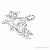 Bird Printable Stencil Library Clipart Line sketch template