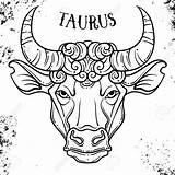 Taurus Shareasale Filigree sketch template