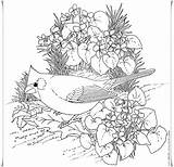 Coloring Bird Printable Pages Kids Color Book Skills Practicing They Pdf Writing Motor Fine Pre Perfect These When sketch template