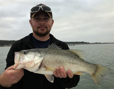 february  fishing report