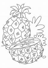 Pineapple Coloring Pages Juicy Parentune Worksheets Books sketch template