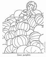Coloring Harvest Pages Printables Autumn Popular Pumpkin sketch template