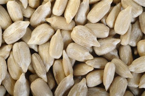 organic raw hulled sunflower seeds unsalted sunflower seeds pipingrock health products