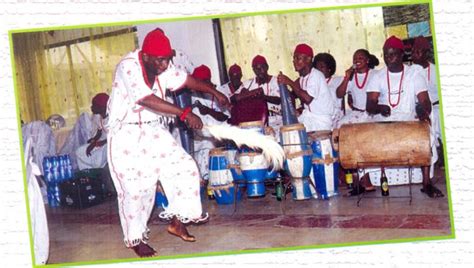 organisation   advancement  anioma culture ofaac holds