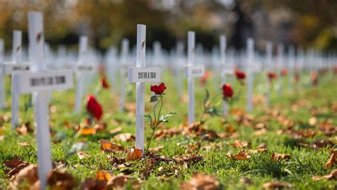 1 million pins pumped out as christchurch prepares for poppy day nz