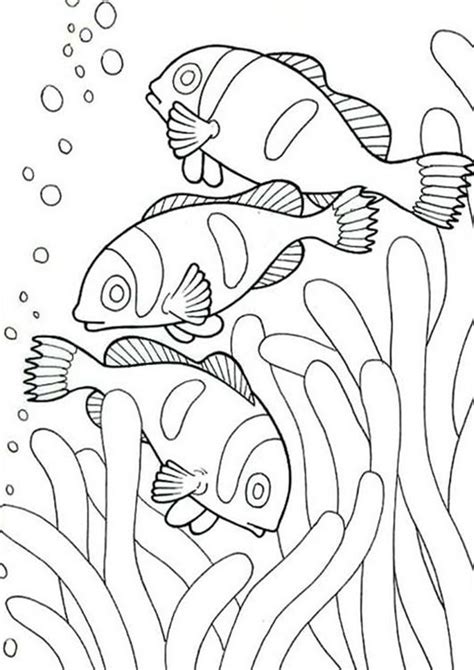 easy  print fish coloring pages fish coloring page ocean