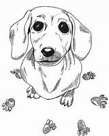 Coloring Dog Pages Dachshund Wiener Printable Weiner Color Drawing Adult Colouring Sausage Dogs Sheets Book Puppy Draw Heaven Print Wood sketch template