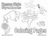 Kansas Coloring State Pages Flag Symbols Printable Lesson Sheets Entrepreneurs Teacher Grade Flower Color Bird Getcolorings sketch template