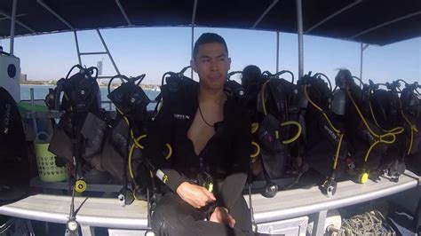 scuba diving in the gold coast youtube