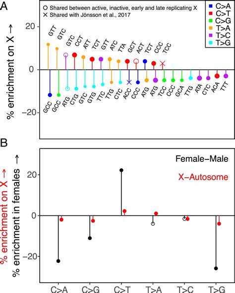 Signatures Of Replication Timing Recombination And Sex In The