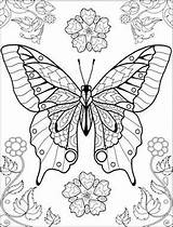 Coloring Pages Butterflies Butterfly Intricate Adult Adults Printable Sheets Colouring Omalovánky Getcolorings Kreslení Color sketch template