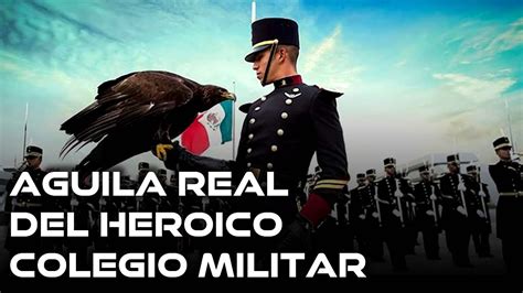 Aguila Real Escudo De La Bandera De Mexico Simbolos De