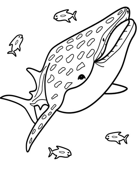 blue whale printable coloring page topcoloringpagesnet